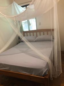 a bed with mosquito netting over it in a room at Casa Morpho Uvita Guesthouse in Uvita