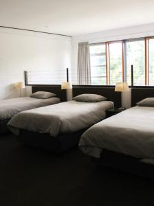 NarrabundahBig Modern Loft Apt - Central - 7 Beds, 9 Guests - Workers, Families, Groups, Teams的带窗户的客房内的三张床
