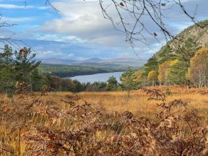 een grasveld met een meer op de achtergrond bij The Highlander in Tain