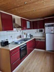 a kitchen with red cabinets and stainless steel appliances at Ferienhaus in Thüringen Nähe Hohenwarte Stausee in Unterwellenborn