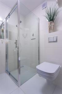 クロシチェンコにあるWilla Gronoのバスルーム(ガラス張りのシャワー、トイレ付)