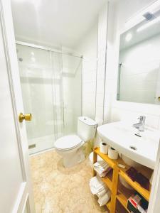 a bathroom with a toilet and a sink and a shower at Hostal La Taberna in Arenas de San Pedro