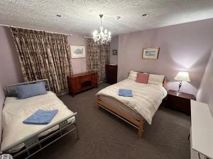 Central Lisburn Accommodation في ليسبرن: غرفة نوم بسريرين وثريا