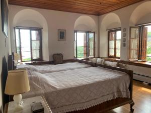 a bedroom with a large bed and windows at House in Propan in Kalamaki