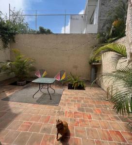 een hond op een stenen patio met een tafel bij Casa Bohemia in Ciudad Guzmán