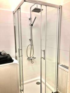 een douche met een glazen deur in de badkamer bij Wohnung im Zentrum 70 qm in Hof
