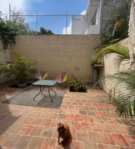 un chien assis sur une terrasse en briques avec une table dans l'établissement Casa Bohemia, à Ciudad Guzmán