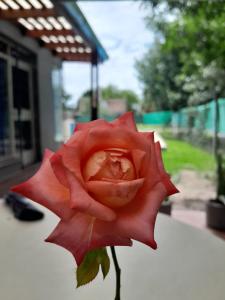 una rosa roja en un jarrón sobre una mesa en Casa de Funes city en Funes