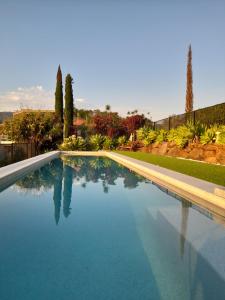 una piscina con acqua blu in un cortile di A view of Mount Warning a Uki Altre 21 foto
