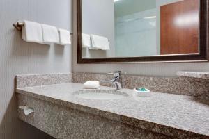 Koupelna v ubytování Drury Inn & Suites St. Louis/O'Fallon, IL