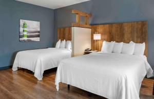 Gibsonton的住宿－Extended Stay America Premier Suites - Tampa - Gibsonton - Riverview，蓝色墙壁客房的两张床