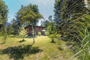 una casa en medio de un campo con árboles en Cabañas Pucon Location, en Pucón