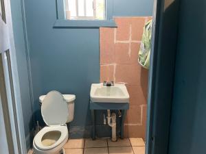 La petite salle de bains est pourvue de toilettes et d'un lavabo. dans l'établissement No Regrets, à Coxen Hole