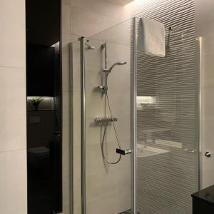 een douche met een glazen deur in de badkamer bij Central Park Apartment in Łódź