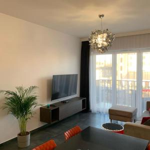 een woonkamer met een flatscreen-tv en een bank bij Central Park Apartment in Łódź