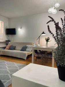 Et tv og/eller underholdning på Shiraz Garden Studio