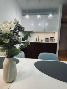 Køkken eller tekøkken på Shiraz Garden Studio + 2 billeder