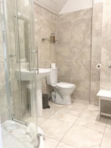 a bathroom with a toilet and a shower and a sink at Dergvale Hotel in Dublin