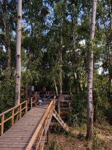 eine Holzbrücke über einen Fluss mit Bäumen in der Unterkunft Luna Vieja in Tigre