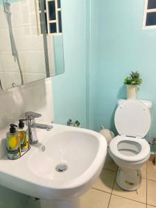 a bathroom with a white sink and a toilet at Stylish apartments in Gaborone