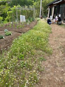 Giardino di たけ丸
