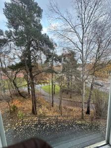 a view from a window of a park with trees at Comfort zone in Stockholm