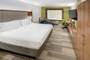 una camera d'albergo con un grande letto e una TV di Holiday Inn Express Woodbridge, an IHG Hotel ad Avenel