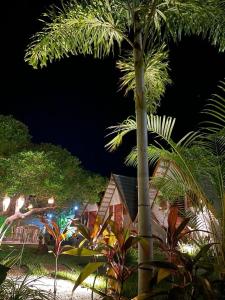 a palm tree in front of a house at night at Pousada Villa di Luna in São Miguel do Gostoso