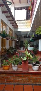 Ảnh trong thư viện ảnh của HOTEL LA CASONA SAN AGUSTIn ở San Agustín