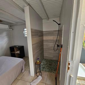 uma casa de banho com um chuveiro num quarto com uma cama em L'Improviste atypique pour une pause détente em Le François