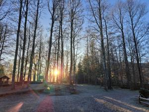 Příroda nedaleko penzionu + 21 fotografií