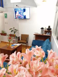 TV a/nebo společenská místnost v ubytování El Ave Azul Boutique Hotel Cusco