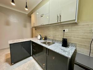 Η κουζίνα ή μικρή κουζίνα στο Luxury Living in Munyonyo +44 φωτογραφίες