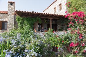 Vonkajšia záhrada v ubytovaní Elise Cottage
