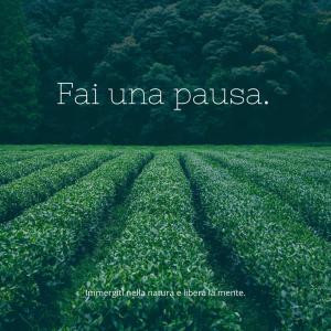 a field of green crops with the words fat unina palesa at K.tripla in San Giorgio