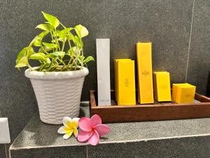 a shelf with a potted plant and a vase of flowers at Sunset and Palm trees - An Airport Boutique by the Sea in Trivandrum