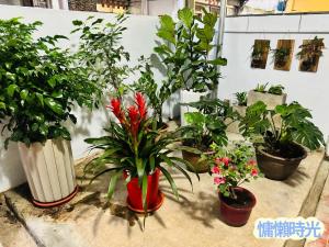 Vườn quanh Lazy Time B&B
