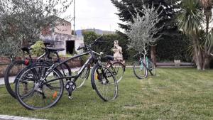 duas bicicletas estacionadas na relva num quintal em Hotel Rosso Di Sera em Pietramelara