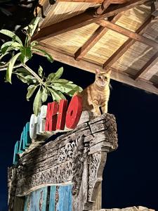 Eine Katze auf dem Dach eines Gebäudes in der Unterkunft PINOKKIO B&B Restaurant in Ungasan