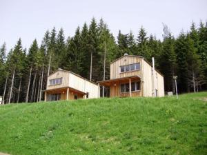 ein Haus auf einem Hügel auf einem Feld in der Unterkunft Hütte Präbichl in Vordernberg