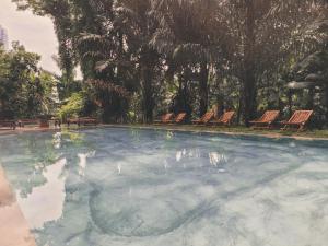 Bazén v ubytování Labrador Villa nebo v jeho okolí