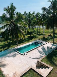 a swimming pool in front of some palm trees at Tsuru Villa in Udawalawe