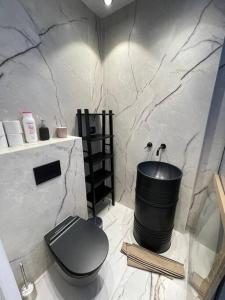 uma casa de banho com um WC e uma banheira em פנטהאוז 2 חדרים עם בריכה וג'קוזי em Haifa