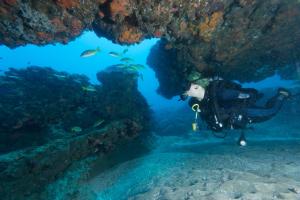 a diver in a cave in a coral reef at Sodwana Bay Lodge Dive & Fishing Resort in Sodwana Bay