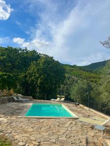 Bazén v ubytování Agriturismo Campo dei Lupi nebo v jeho okolí
