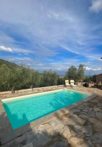 - une piscine d'eau bleue dans la cour dans l'établissement Agriturismo Campo dei Lupi, à Vicopisano