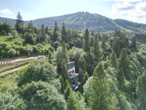 una vista aerea di una casa tra gli alberi di Forest Hub a Slavske