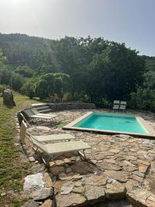 Bazén v ubytování Agriturismo Campo dei Lupi nebo v jeho okolí