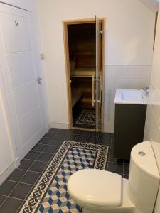 a bathroom with a toilet and a sink at Stroma, Dunnet, spacious holiday house with sauna. in Brough