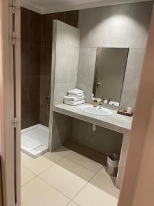 La salle de bains est pourvue d'un lavabo et d'un miroir. dans l'établissement Hôtel A Madonetta, à Bonifacio